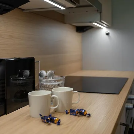 - & Stylish With Free Passes Apartament Levi