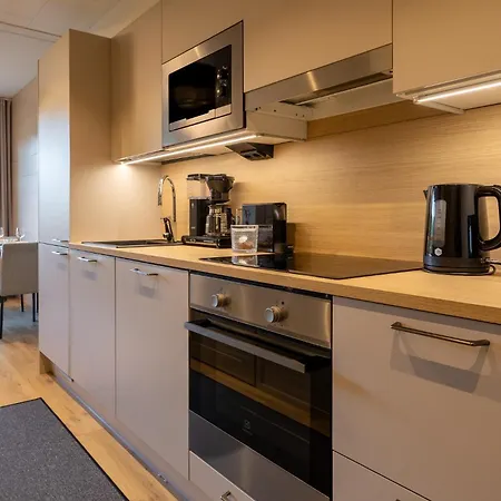 Apartament - & Stylish With Free Passes Levi