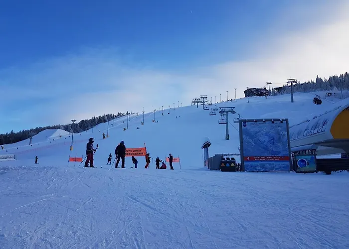 - & Stylish With Free Passes *