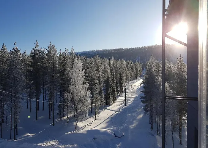 - & Stylish With Free Passes * Levi