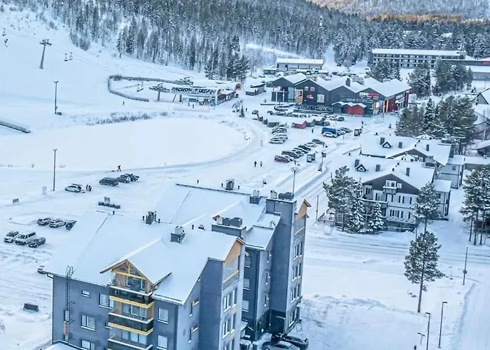 - & Stylish With Free Passes Huoneisto Levi