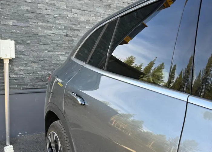 - & Stylish With Free Passes * 레비