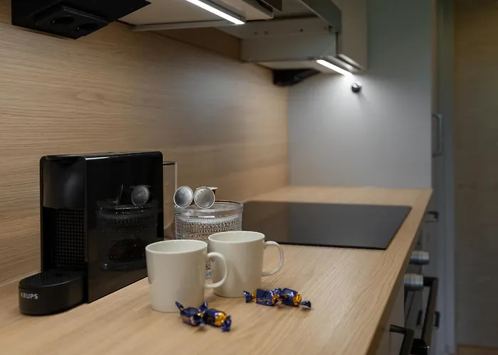 - & Stylish With Free Passes Huoneisto Levi