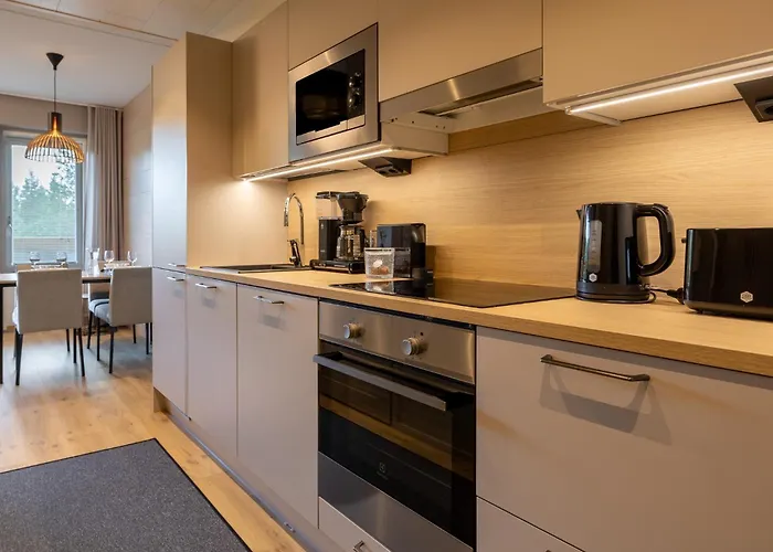 Huoneisto - & Stylish With Free Passes Levi